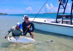 Hooked a Large Tarpon in Jensen Beach, FL